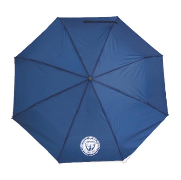 Parapluie pliable auto bleu Sorop'